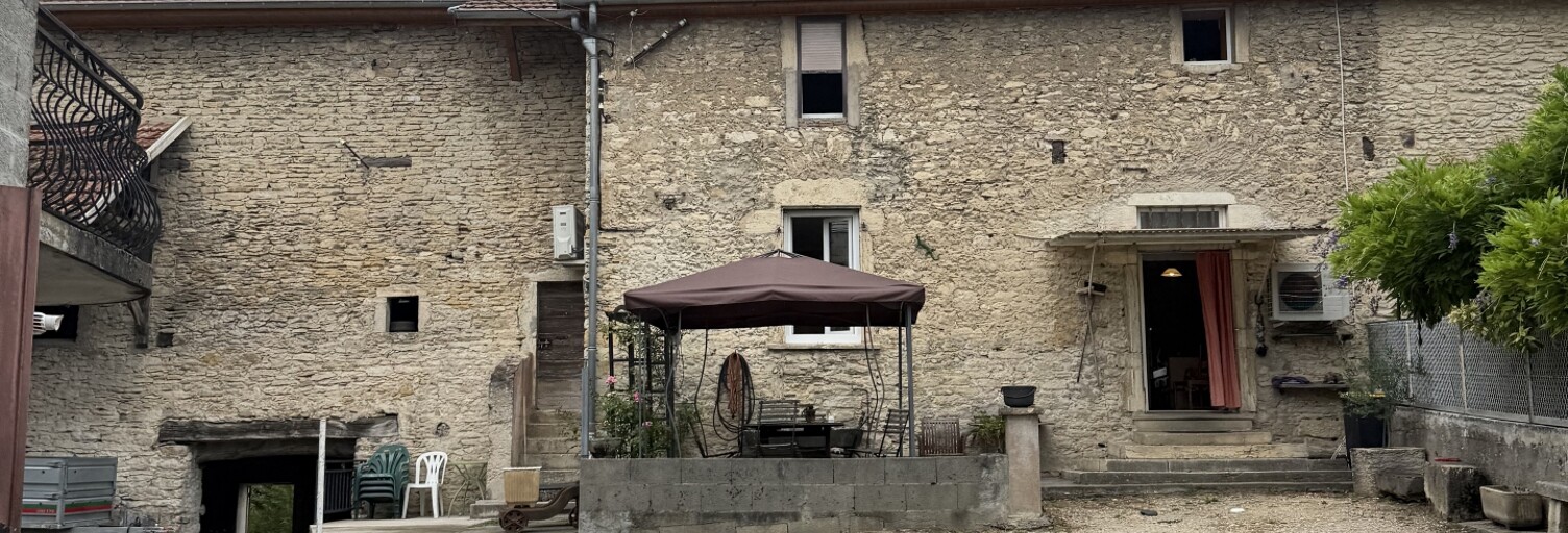 Maison 10 Pièces 363 m² à vendre à Trept (38460)