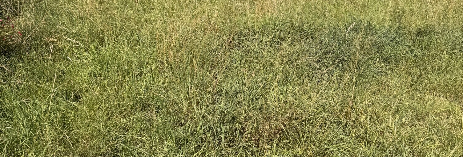 Terrain  455 m² à vendre à Monceaux-en-Bessin (14400)