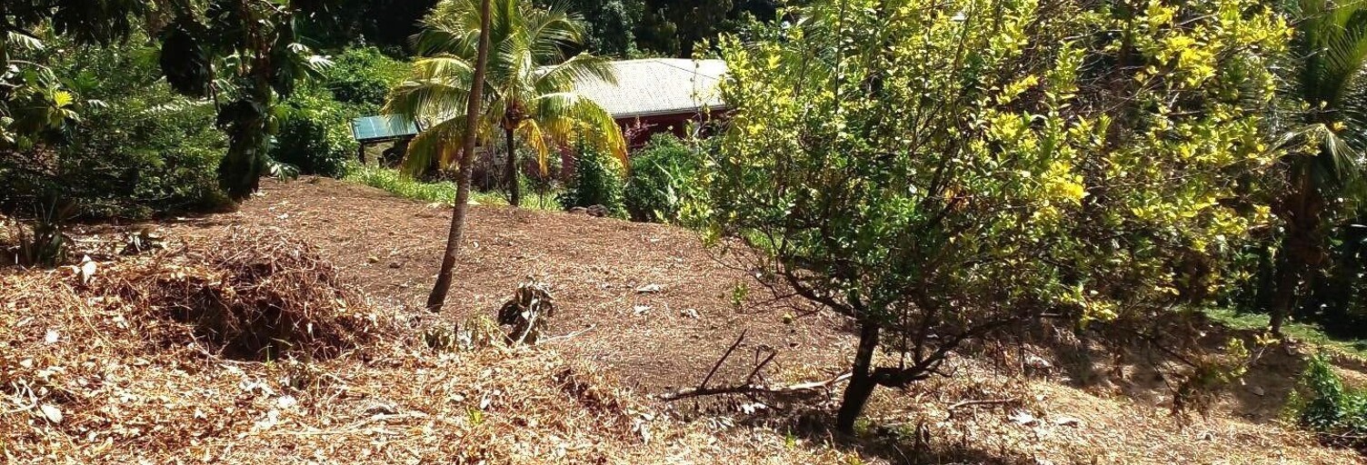 Terrain  886 m² à vendre à Le Robert (97231)