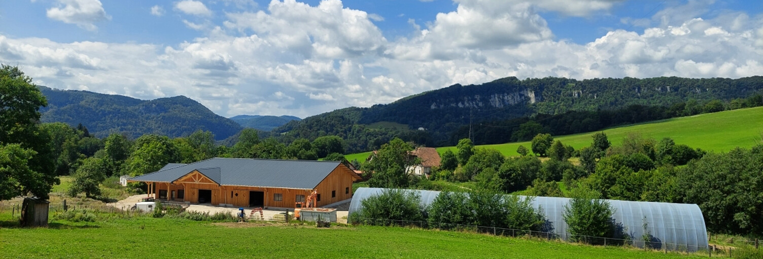 Maison 12 Pièces 1000 m² à vendre à Montbéliard (25200)