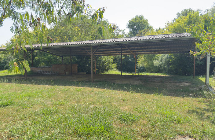 MAISON DE CARACTERE 250 M2 HABITABLES, GARAGE EN PIERRE 65 M2, HANGAR AGRICOLE 260 M2, JARDIN 5000 M2 — photo 5