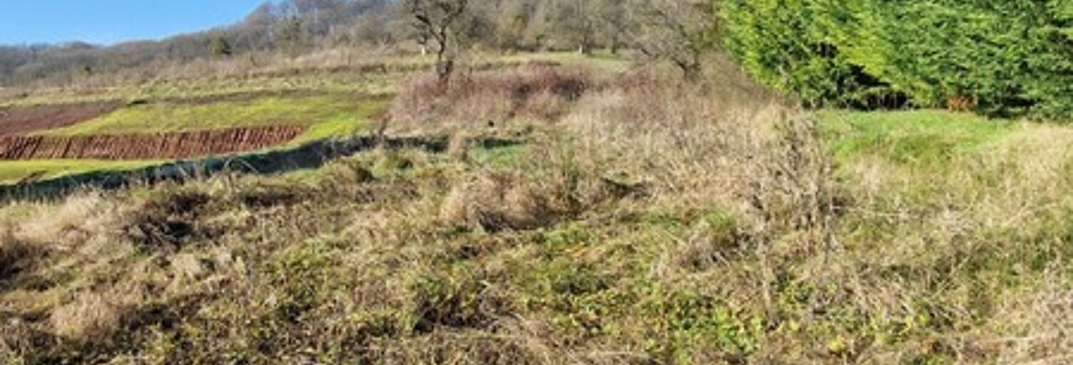 Terrain  795 m² à vendre à Veckring (57920)