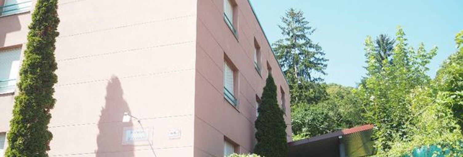 Appartement 1 Pièce 25 m² à louer à Nancy (54000)