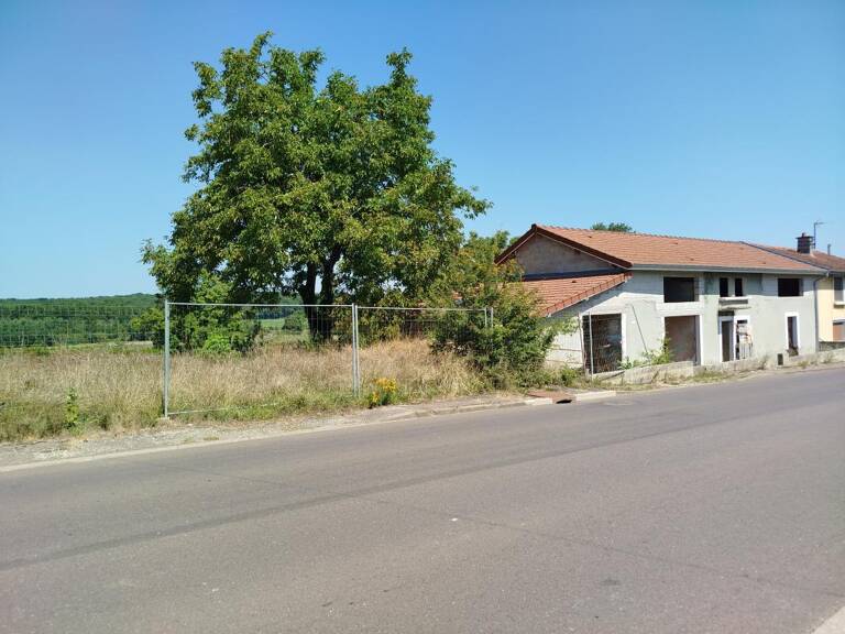 Maison en cours de construction — toiture refaite à neuf — fort potentiel — photo 1