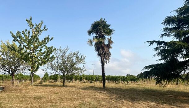 Villa / Maison 5 pièces  à vendre Nogaro 32110