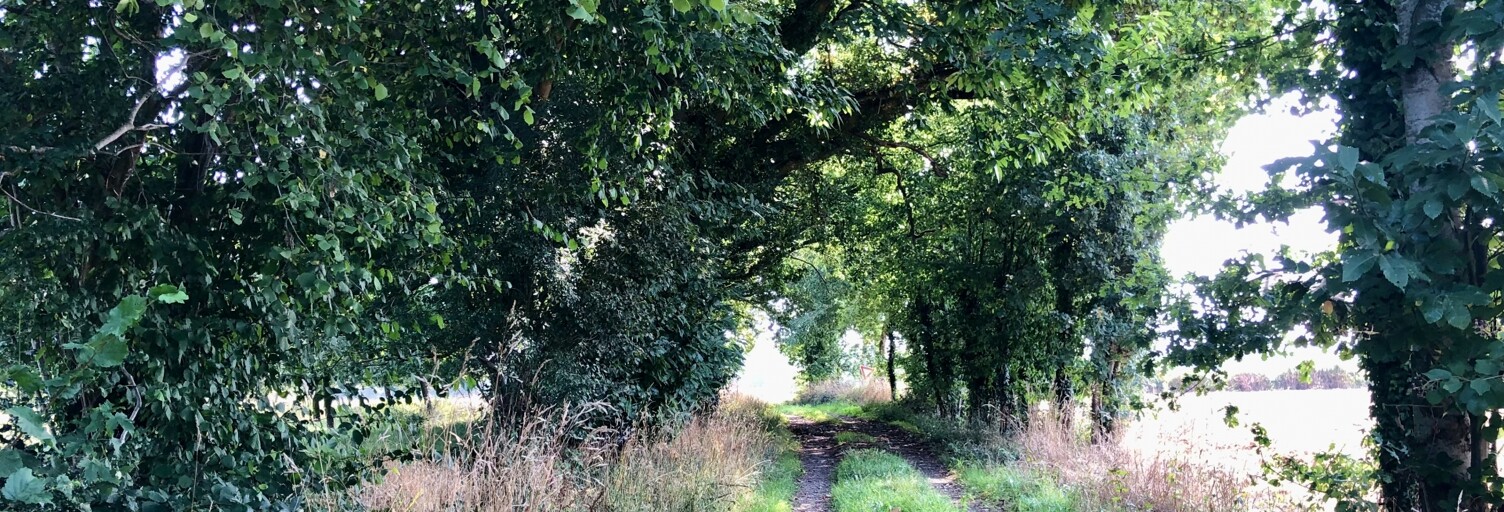 Maison 5 Pièces 150 m² à vendre à Méhoudin (61410)