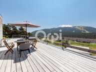 CAILLE – LA MOULIÈRE - RARE OPPORTUNITÉ SUR PLUS D' UN HECTARE DE TERRAIN - PROJET DE DEUX CHALETS D'HABITATION BOIS A CREER – VUE PANORAMIQUE SUD – CALME ABSOLU — photo 4