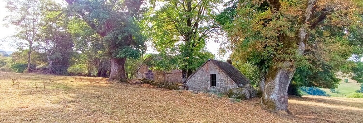 Maison 3 Pièces 100 m² à vendre à Saint-Martin-Valmeroux (15140)