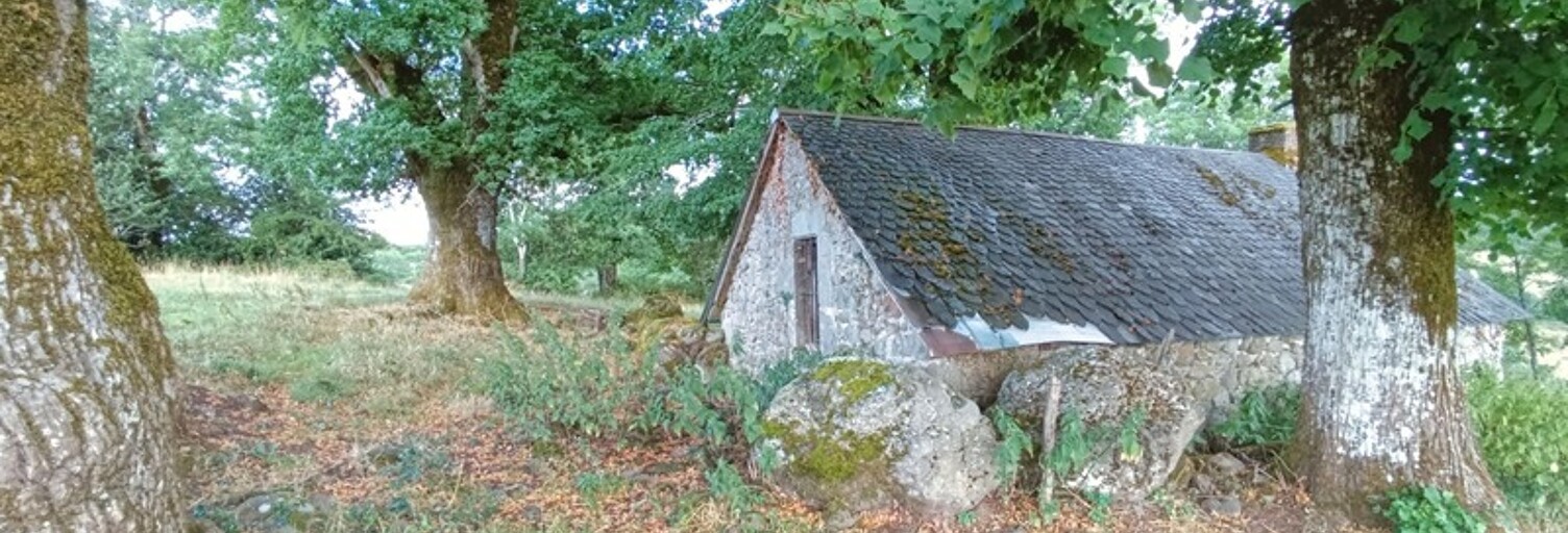 Maison 3 Pièces 100 m² à vendre à Saint-Martin-Valmeroux (15140)