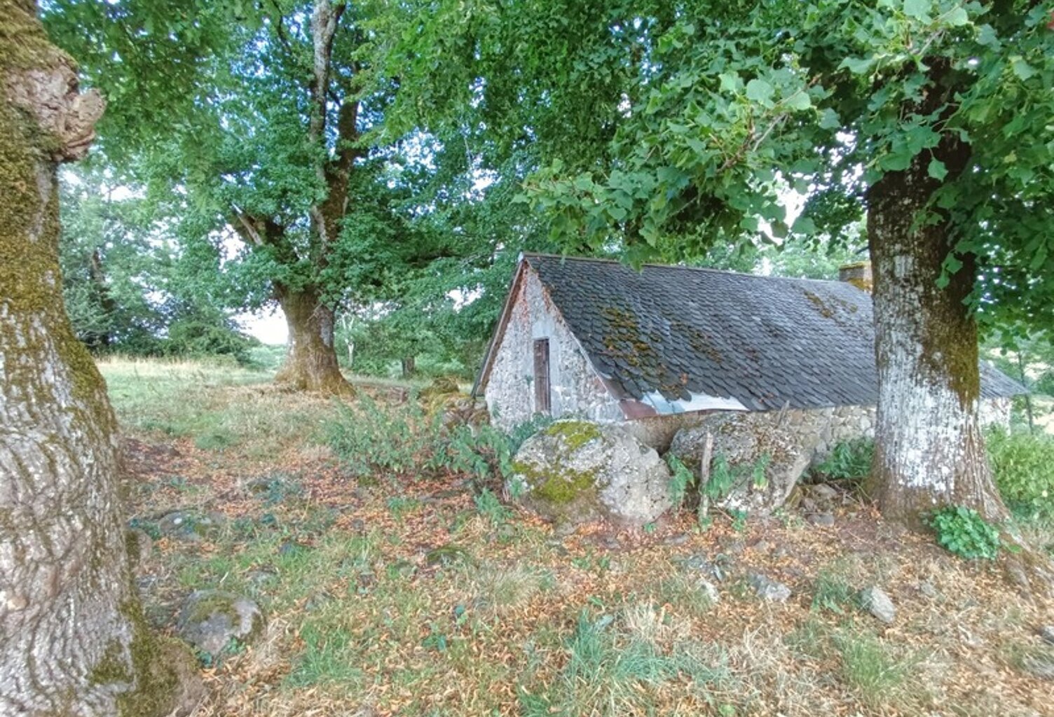 Exceptionnel ! Propriété de 36 hectares avec buron Proche de Salers — photo 1
