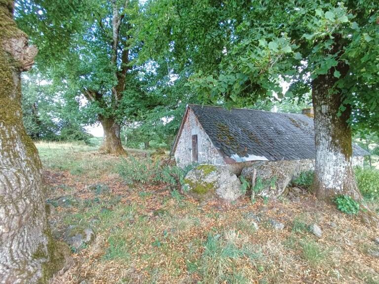 Exceptionnel ! Propriété de 36 hectares avec buron Proche de Salers — photo 1