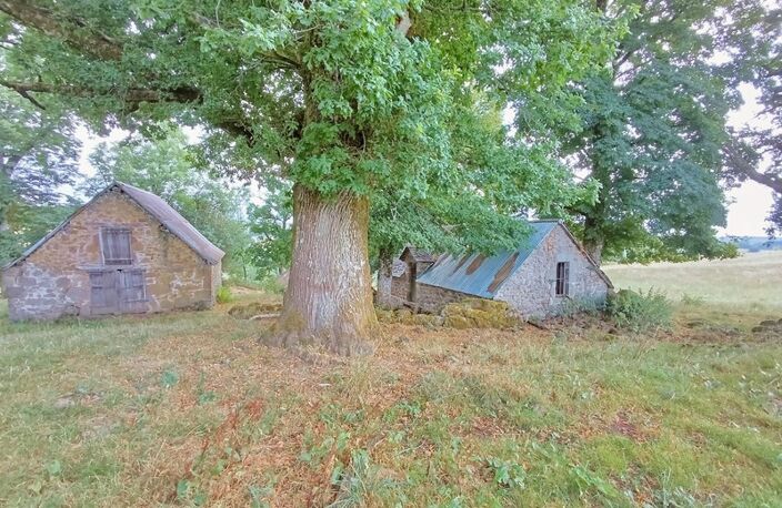 Exceptionnel ! Propriété de 36 hectares avec buron Proche de Salers — photo 2