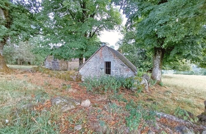 Exceptionnel ! Propriété de 36 hectares avec buron Proche de Salers — photo 4