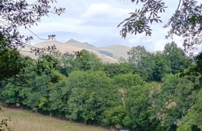 Exceptionnel ! Propriété de 36 hectares avec buron Proche de Salers — photo 5