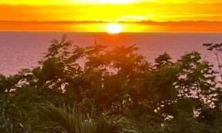 Maison 12 Pièces 734 m² à vendre à Saint-Martin (65360)