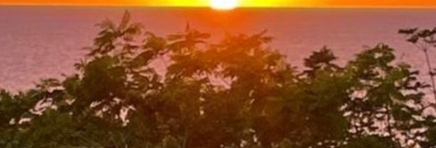 Maison 12 Pièces 734 m² à vendre à Saint-Martin (65360)