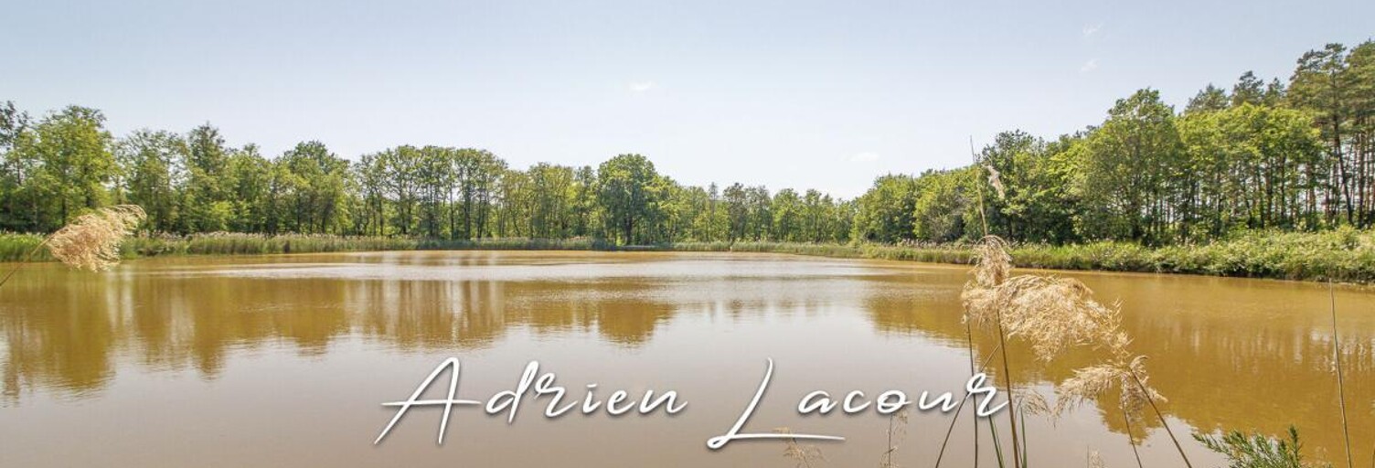 Commerce  25600 m² à vendre à Veilleins (41230)