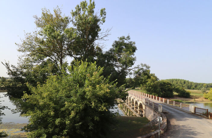 Moulin au cœur de la Bresse avec accès privé à la rivière - 585 m² sur 8553 m² de terrain — photo 4