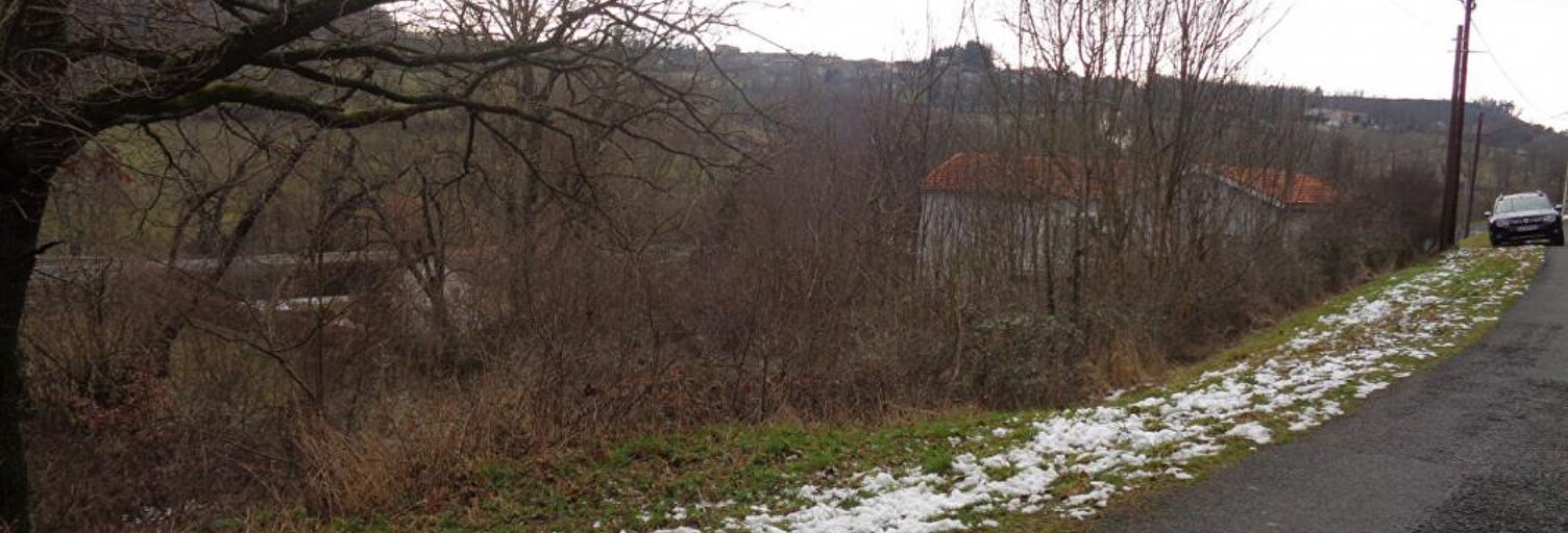 Terrain  931 m² à vendre à Sanssac-l'Église (43320)