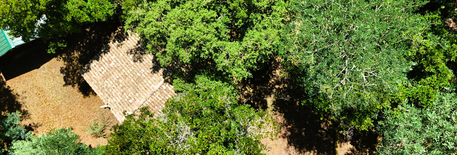 Terrain  2593 m² à vendre à Le Cap-Ferret (33970)