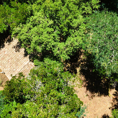 Terrain  1870000 €