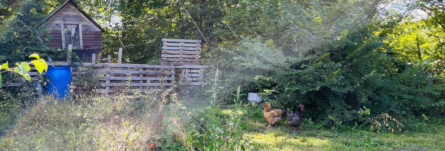 Maison 4 Pièces 66 m² à vendre à Aulnay-sur-Mauldre (78126)