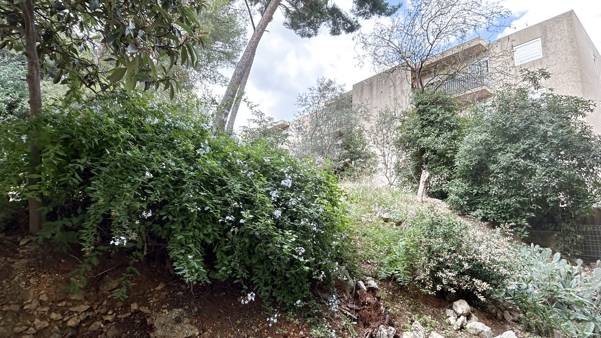 Appartement  T3 à vendre Toulon 83200