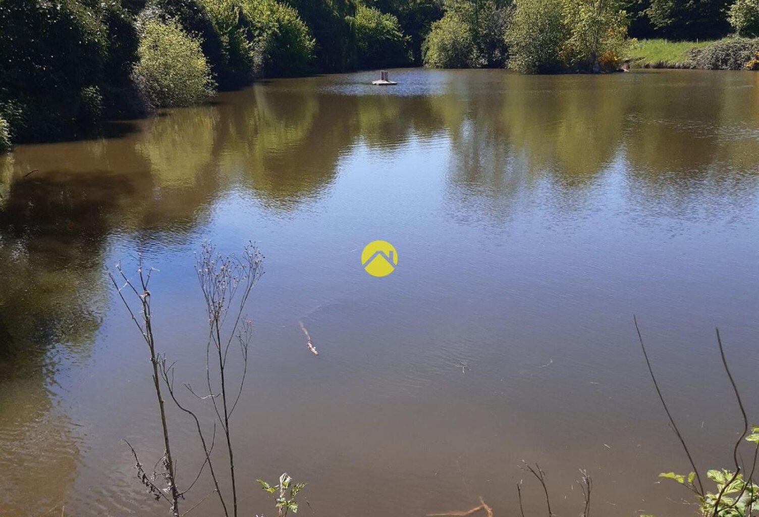 Terrain 11 ha avec étang — photo 1