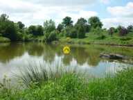 Terrain 11 ha avec étang — photo 2