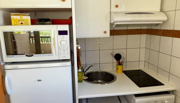 Appartement 1 pièces  à vendre Puy-Saint-Vincent 05290