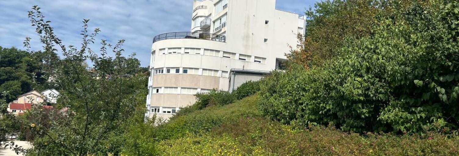 Appartement 2 Pièces 59 m² à louer à Nancy (54000)