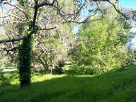 Ensemble : 2 logements + locaux pro   1 ha - GIRONDE (33) - — photo 4