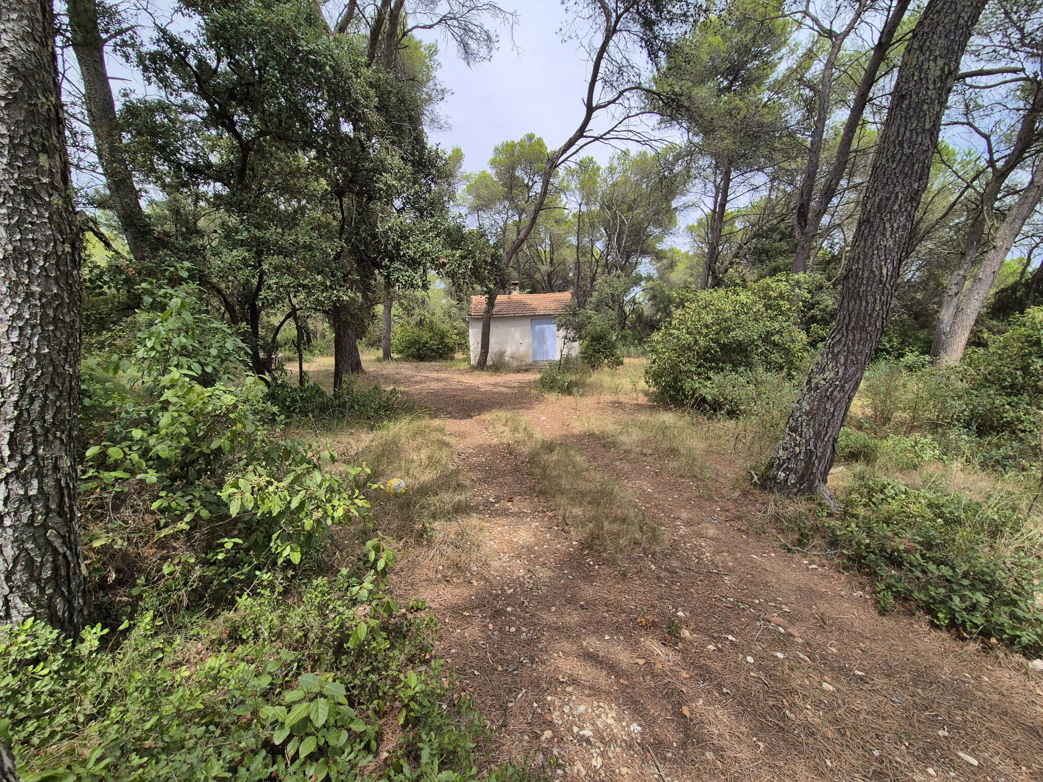 Terrain  T1 à vendre Vergèze 30310