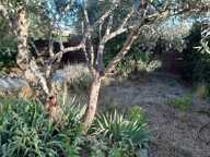 Mazet — photo 4