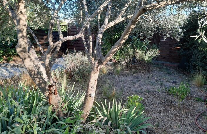 Mazet — photo 4