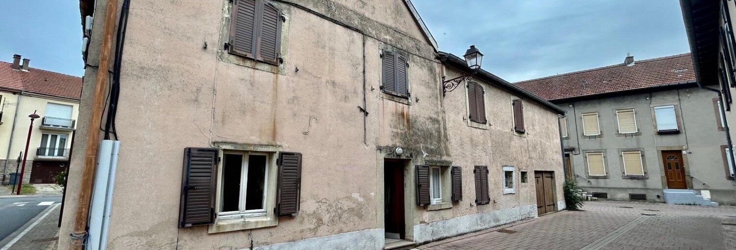 Maison 7 Pièces 93 m² à vendre à Sarralbe (57430)