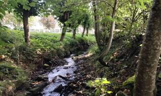 Maison 4 Pièces 112 m² à vendre à Passavant-la-Rochère (70210)