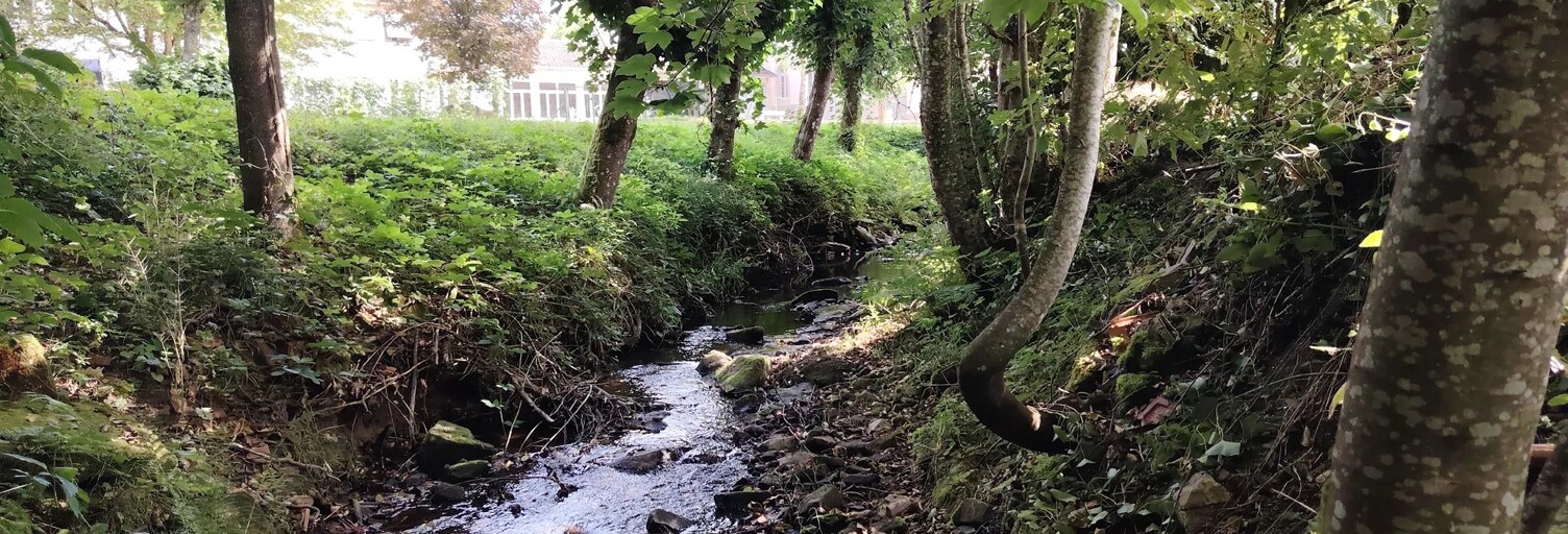 Maison 4 Pièces 112 m² à vendre à Passavant-la-Rochère (70210)