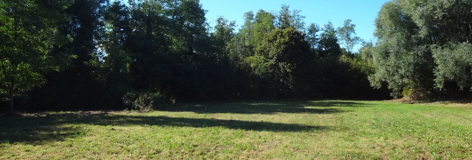 Terrain  1100 m² à vendre à Ormes (71290)