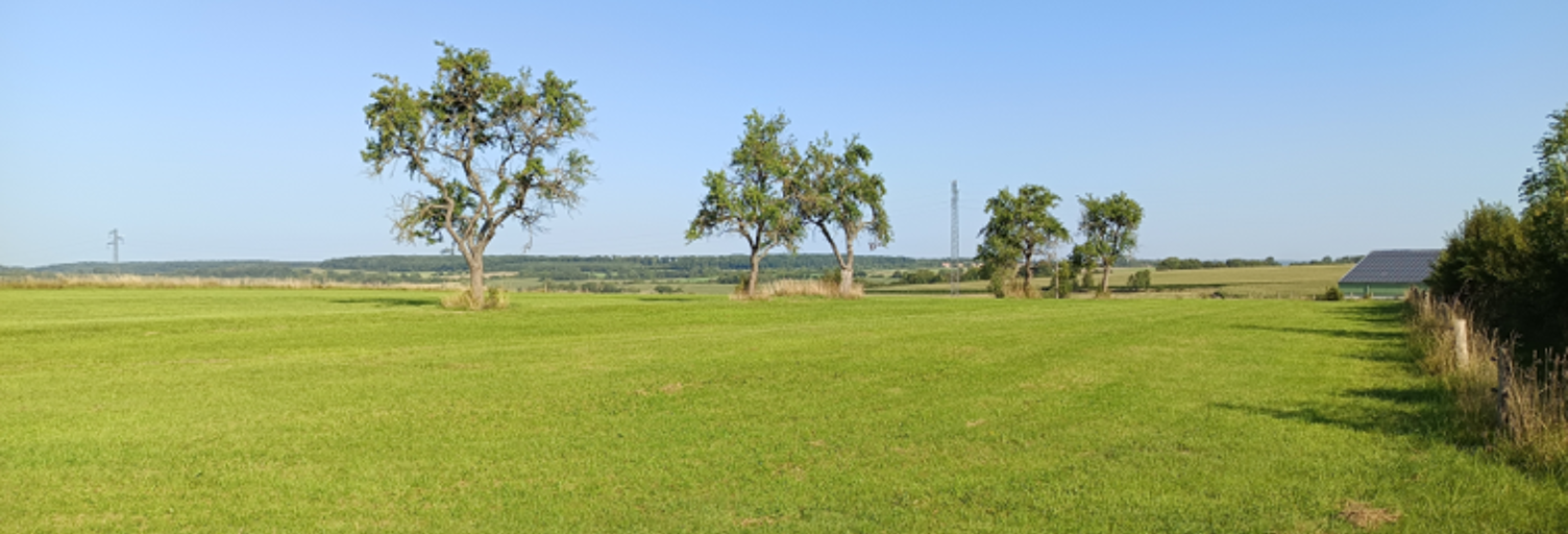 Terrain  1516 m² à vendre à Wintersbourg (57635)