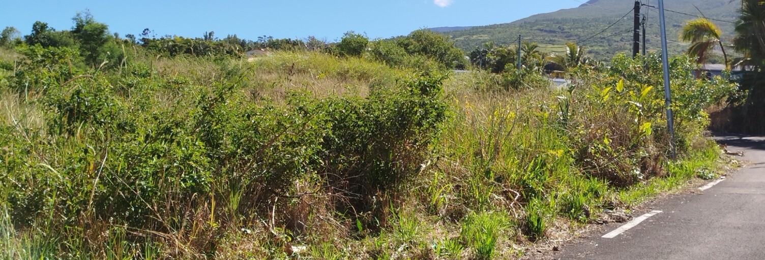 Terrain  333 m² à vendre à Saint-Joseph (97480)