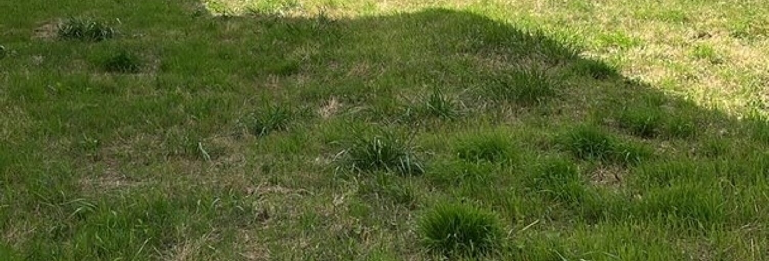 Terrain  654 m² à vendre à Pessac (33600)