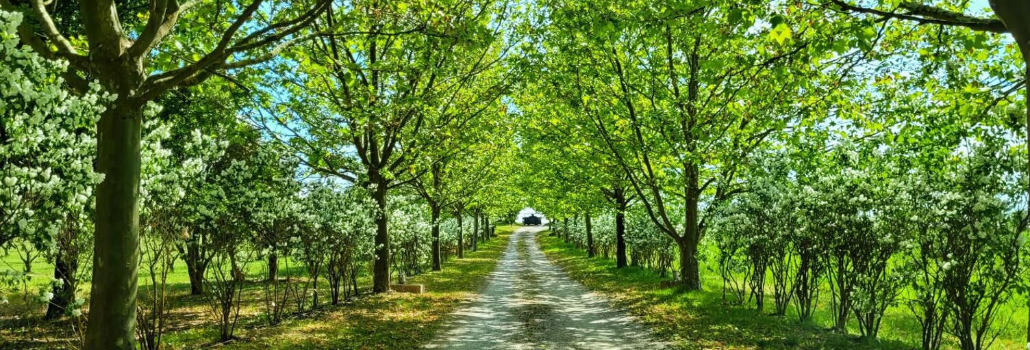 Maison 10 Pièces 500 m² à vendre à Forcalquier (04300)