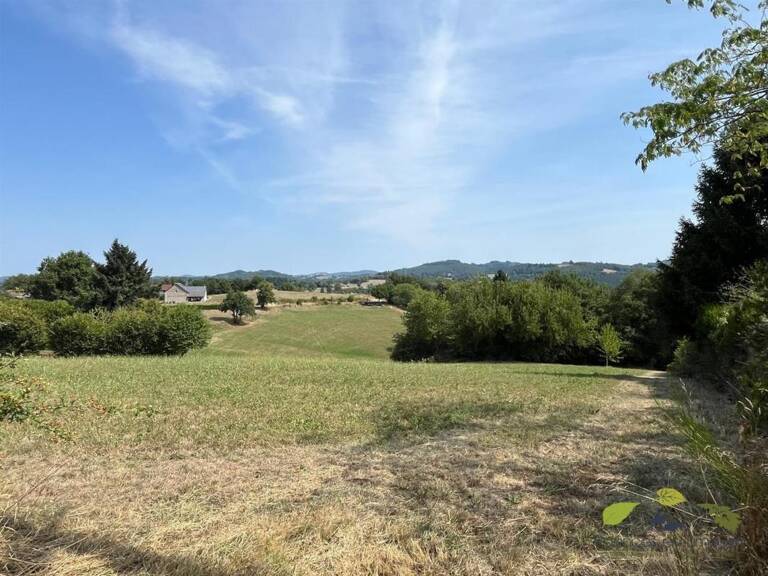 HAUTE VIENNE — photo 1