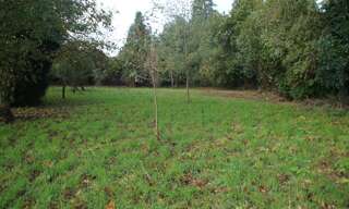 Terrain  1000 m² à vendre à Caro (56140)