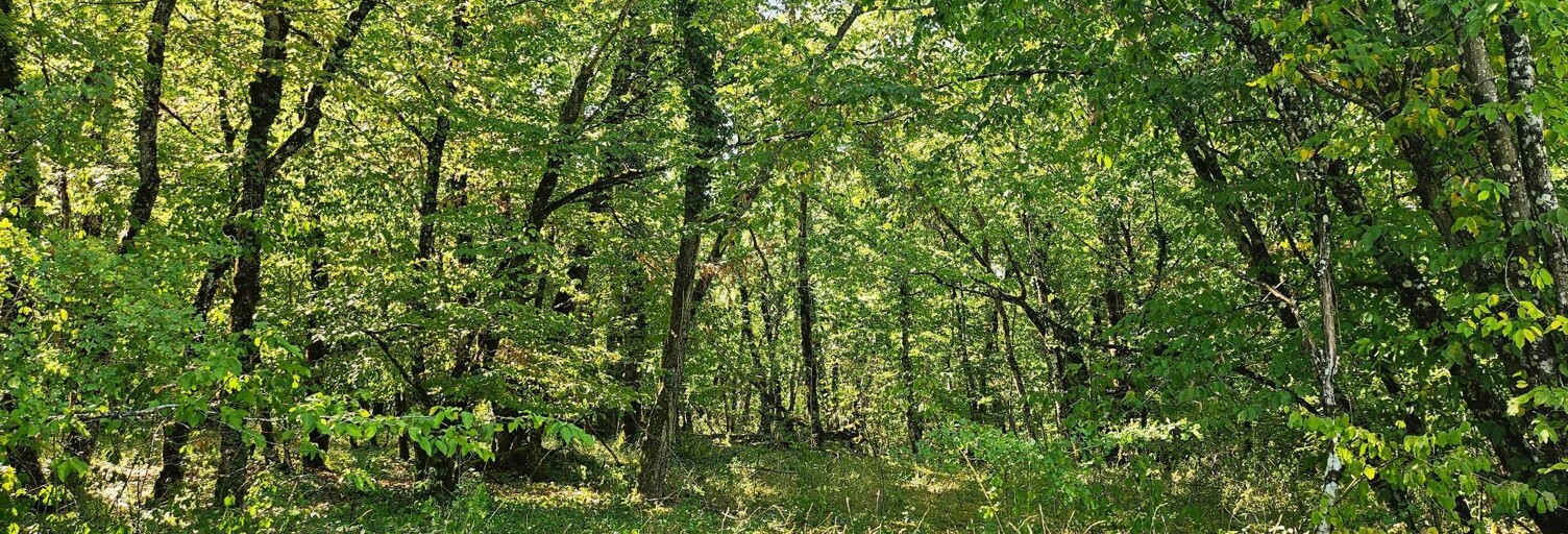 Terrain  26840 m² à vendre à Sorges et Ligueux en Périgord (24420)