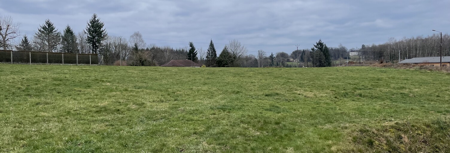 Terrain  1557 m² à vendre à Saint-Martin-Terressus (87400)