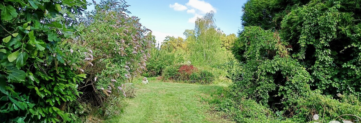 Terrain  3118 m² à vendre à Arcy-Sainte-Restitue (02130)