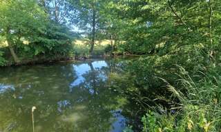 Terrain  139996 m² à vendre à Velles (36330)