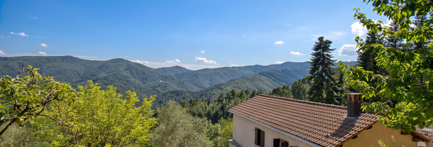 Maison 9 Pièces 172 m² à vendre à Le Collet-de-Dèze (48160)